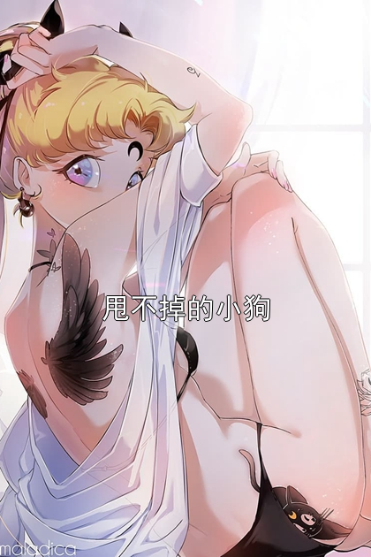 甩不掉的小狗杨兰白修灼乔安莫妮卡小说完整篇在线阅读